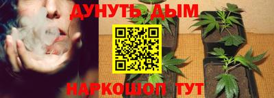 jwh Ставрополь