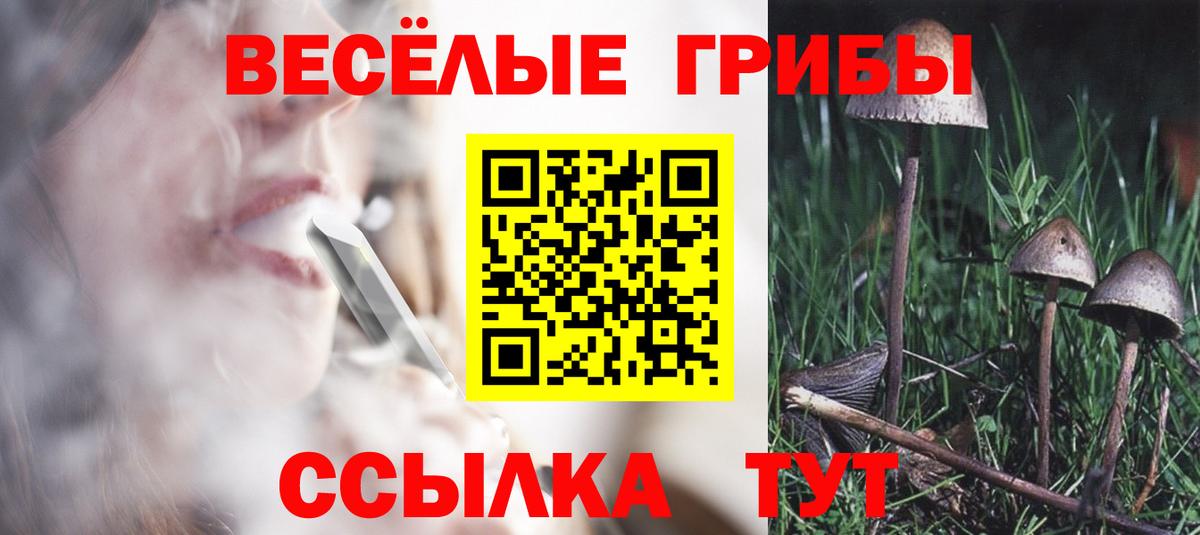 Псилоцибиновые грибы мицелий Нижневартовск
